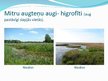 Prezentācija 'Augu pielāgošanās mitruma režīmam', 5.