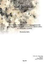 Referāts 'Brīvi izvēlēta dabiskas izcelsmes (akmens)materiāla vispārīgs raksturojums no tā', 1.