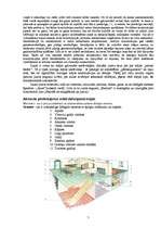 Referāts 'Brīvi izvēlēta dabiskas izcelsmes (akmens)materiāla vispārīgs raksturojums no tā', 5.