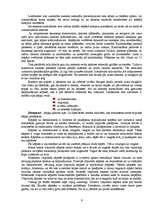 Referāts 'Brīvi izvēlēta dabiskas izcelsmes (akmens)materiāla vispārīgs raksturojums no tā', 6.