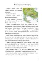 Referāts 'Taizeme', 5.