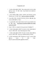 Referāts 'Latviešu valodas lingvistiskās vides kļūdas ziņojumos, uzrakstos', 5.