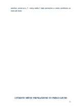 Referāts 'Viesnīcas Latgales priekšpilsētā', 11.