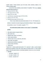 Referāts 'Viesnīcas Latgales priekšpilsētā', 17.