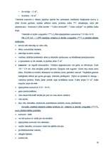 Referāts 'Viesnīcas Latgales priekšpilsētā', 19.