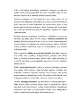 Eseja 'Plastmasas piesārņojums un tā ietekme uz okeāniem: vides problēma un risinājumi', 2.