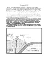 Konspekts 'Metamorfie ieži', 1.