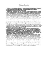 Konspekts 'Metamorfie ieži', 3.