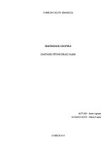 Referāts 'Iekšdedzes dzinēji', 1.