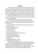 Referāts 'Elpošanas ceļu aizsarglīdzekļi', 2.