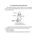 Referāts 'Elpošanas ceļu aizsarglīdzekļi', 6.