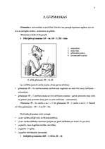 Referāts 'Elpošanas ceļu aizsarglīdzekļi', 7.