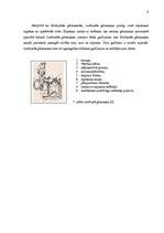 Referāts 'Elpošanas ceļu aizsarglīdzekļi', 8.