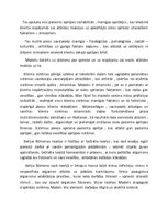 Paraugs 'Filosofiskais pamatojums par Ņūmenas teoriju', 3.