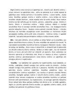 Paraugs 'Filosofiskais pamatojums par Ņūmenas teoriju', 4.