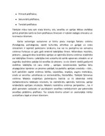 Paraugs 'Filosofiskais pamatojums par Ņūmenas teoriju', 5.