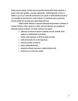 Referāts 'Personība', 8.