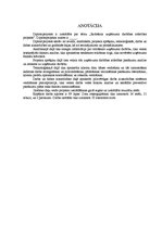 Diplomdarbs 'Ražošanas uzņēmuma darbības attīstības projekts', 2.