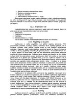 Diplomdarbs 'Ražošanas uzņēmuma darbības attīstības projekts', 11.