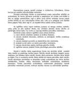 Konspekts 'Holistiskā pieeja', 2.