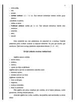 Referāts 'Neverbālā saziņa', 4.