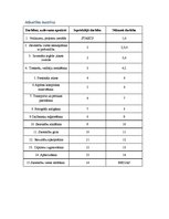 Referāts 'Sacensību organizēšana', 5.