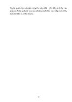 Referāts 'Bijušo ieslodzīto personu rehabilitācija un socializācija', 13.