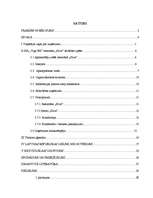 Prakses atskaite 'Prakses atskaite SIA "Vigo BK"', 1.