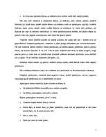 Prakses atskaite 'Prakses atskaite SIA "Vigo BK"', 7.