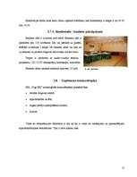 Prakses atskaite 'Prakses atskaite SIA "Vigo BK"', 12.