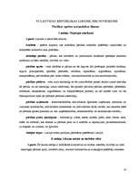 Prakses atskaite 'Prakses atskaite SIA "Vigo BK"', 16.