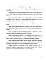 Prakses atskaite 'Prakses atskaite SIA "Vigo BK"', 17.