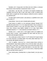 Prakses atskaite 'Prakses atskaite SIA "Vigo BK"', 21.