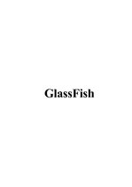 Paraugs 'GlassFish', 1.