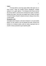 Referāts 'Mežaparks', 7.