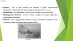 Prezentācija 'Dielektriskie materiāli', 11.