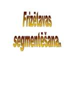 Konspekts 'Tirgus pētīšana. Frizētavas segmentēšana', 2.