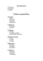 Konspekts 'Tirgus pētīšana. Frizētavas segmentēšana', 4.