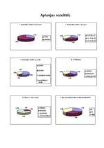 Konspekts 'Tirgus pētīšana. Frizētavas segmentēšana', 8.
