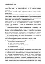 Eseja 'Risku novērtēšana uzņēmējdarbībā', 4.