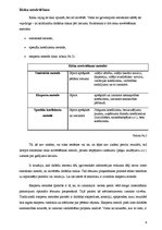 Eseja 'Risku novērtēšana uzņēmējdarbībā', 8.