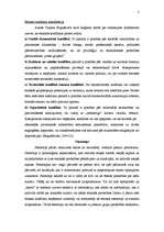 Referāts 'Etniskie un politiskie konflikti', 2.