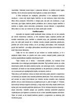 Referāts 'Etniskie un politiskie konflikti', 9.