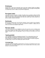 Konspekts 'Māra Zālīte "Pieci pirksti", māja', 1.