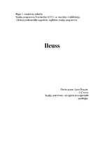 Konspekts 'Ileuss', 1.