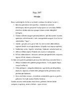 Konspekts 'Ileuss', 2.