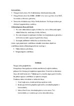 Konspekts 'Ileuss', 6.