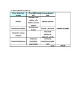 Biznesa plāns 'Biznesa plāns ziedu tirdzniecības biznesā', 27.