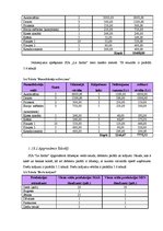 Biznesa plāns 'Biznesa plāns ziedu tirdzniecības biznesā', 30.