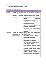 Biznesa plāns 'Biznesa plāns ziedu tirdzniecības biznesā', 33.